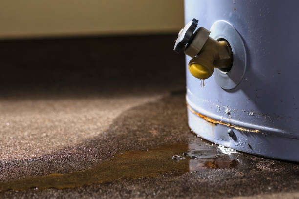 Best Water damage restoration near me  in Fairview, CA
