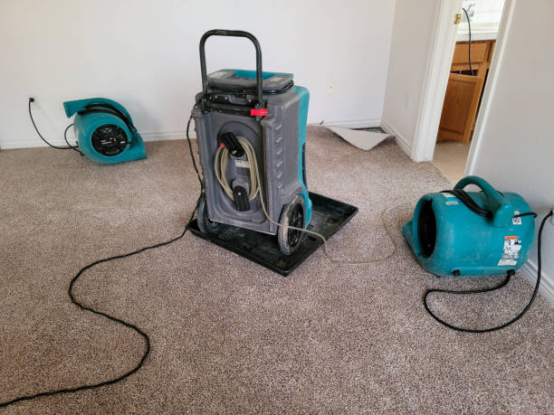  Fairview, CA Water damage restoration Pros