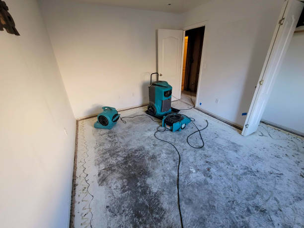 Best Flood restoration services  in Fairview, CA