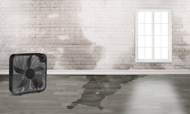 Best Basement water damage restoration  in Fairview, CA