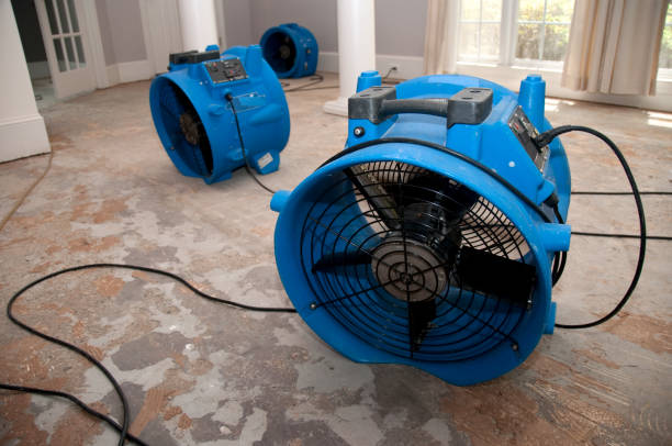 Best Carpet water damage restoration  in Fairview, CA