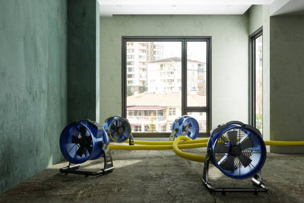 Carpet water damage restoration in Fairview, CA