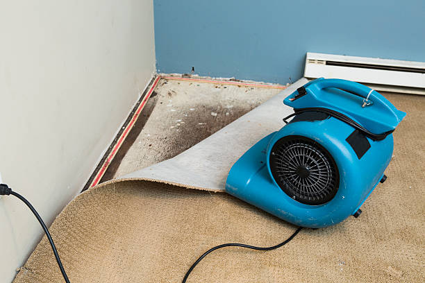Professional Water damage restoration in Fairview, CA